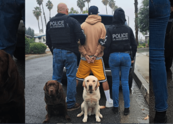 These police K9s help lockup child predators – Law Officer